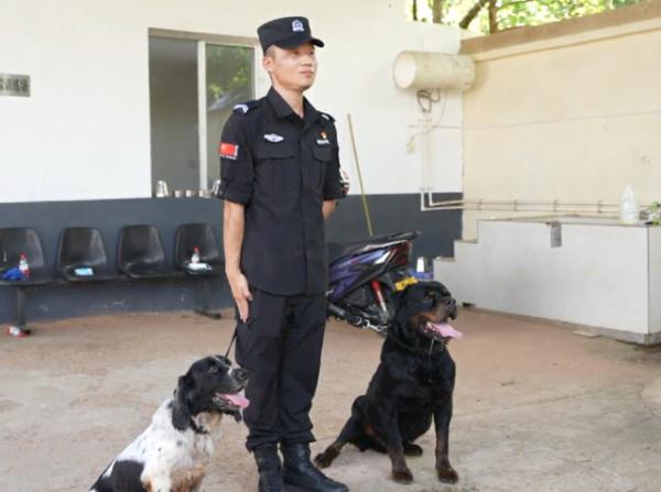 “战友”再见！两只警犬退役，训导员头一晚偷偷哭了