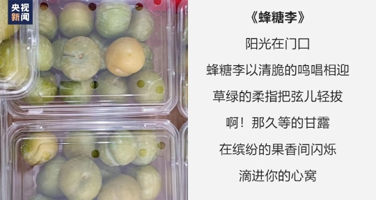 为榴莲写诗 水果店“野生诗人”老赵火了！