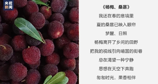 为榴莲写诗 水果店“野生诗人”老赵火了！