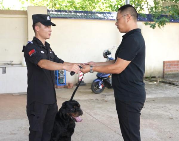 “战友”再见！两只警犬退役，训导员头一晚偷偷哭了