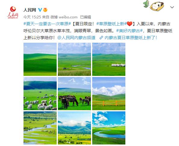 满眼青翠,景色如画,这份夏日草原壁纸请收下 满眼青翠,景色如画,这份夏日草原壁纸请收下