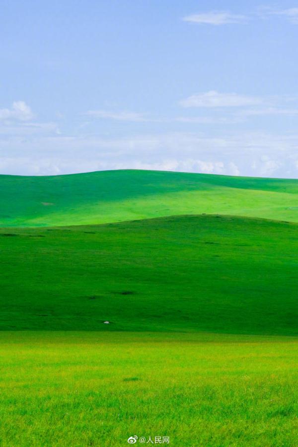 满眼青翠,景色如画,这份夏日草原壁纸请收下 满眼青翠,景色如画,这份夏日草原壁纸请收下