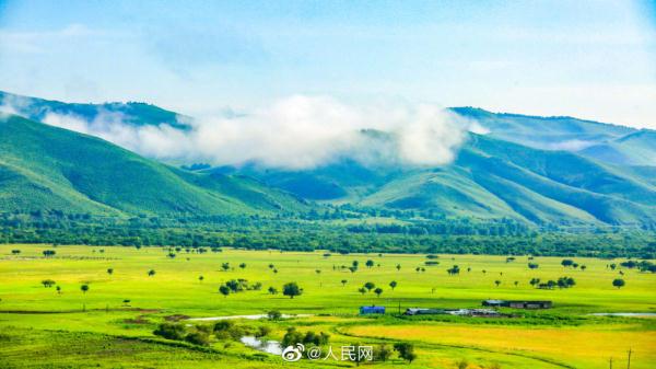 满眼青翠,景色如画,这份夏日草原壁纸请收下 满眼青翠,景色如画,这份夏日草原壁纸请收下