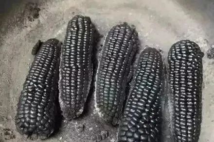 妈妈熬中药却炼出一炉“仙丹”？儿子灵魂发问