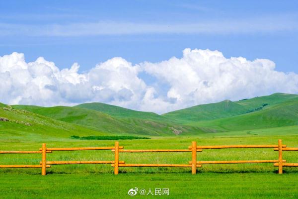 满眼青翠,景色如画,这份夏日草原壁纸请收下 满眼青翠,景色如画,这份夏日草原壁纸请收下