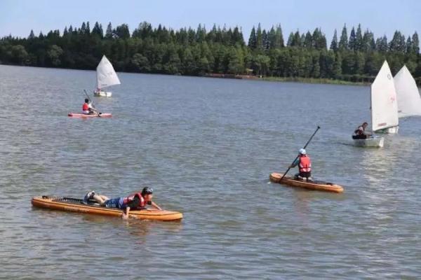 出不去、留家累,本地夏令营爆火!旅行社也来“抢生意” 出不去、留家累,本地夏令营爆火!旅行社也来“抢生意”