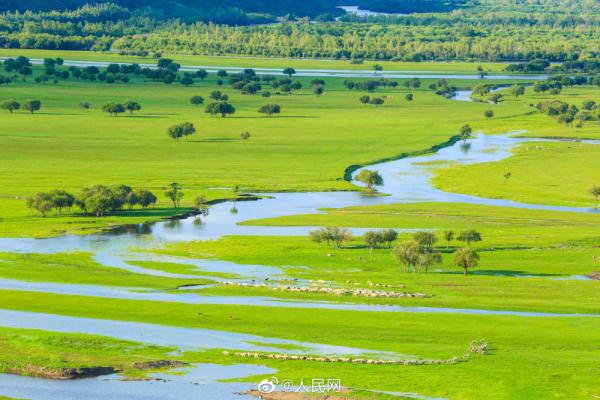 满眼青翠,景色如画,这份夏日草原壁纸请收下 满眼青翠,景色如画,这份夏日草原壁纸请收下
