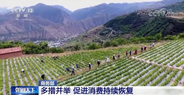 稳住宏观经济大盘 商务部多措并举促进消费持续恢复