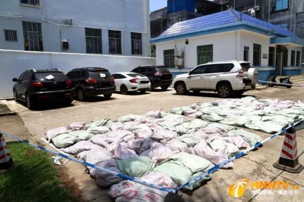 涉案金额2500余万！海南警方破获特大走私案，查扣走私牛百叶3.18吨！
