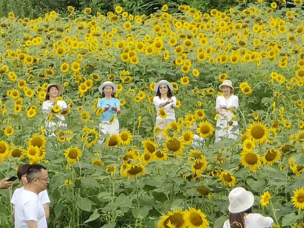 一条大河的生态“回归”