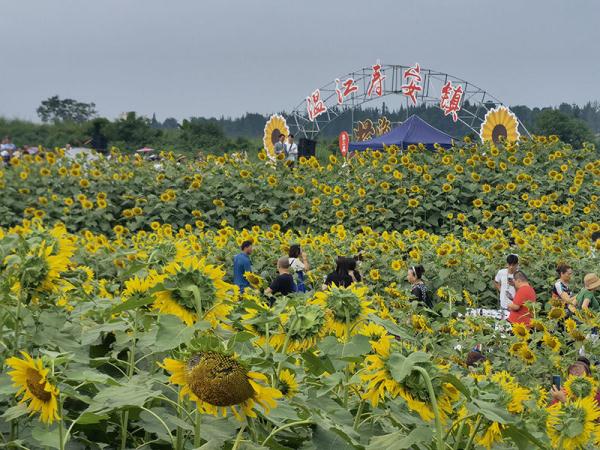 一条大河的生态“回归”