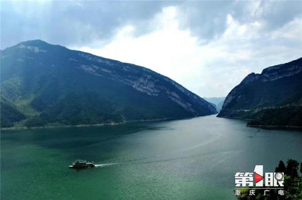 长江白鲟被正式宣布灭绝！重庆，曾是它幼年的成长地之一