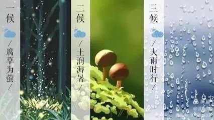 又湿又热!这个节气怎么过? 又湿又热!这个节气怎么过?