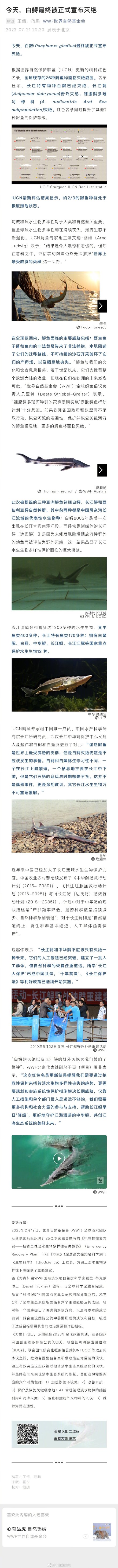 长江特有物种白鲟已灭绝