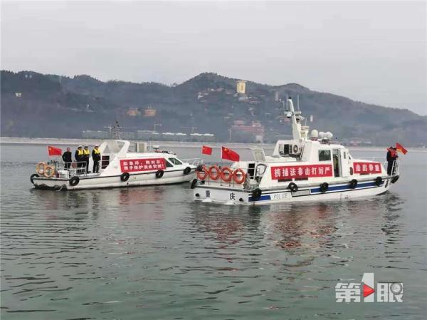 长江白鲟被正式宣布灭绝！重庆，曾是它幼年的成长地之一