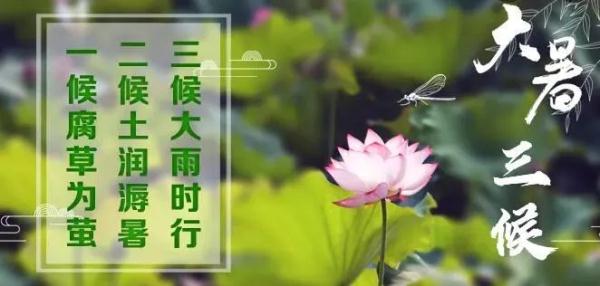 晴日迎“大暑” 万物明朗 暑热可耐 晴日迎“大暑” 万物明朗 暑热可耐
