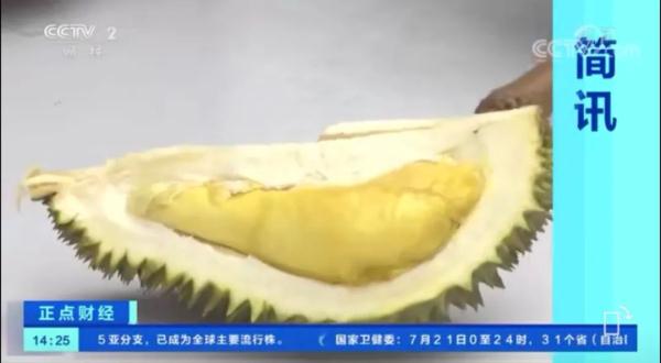 不臭的榴莲来了！你会尝试吗？