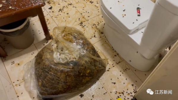 头皮发麻!足足160斤,家中掏出这个大家伙 头皮发麻!足足160斤,家中掏出这个大家伙