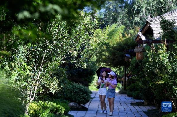 废弃村庄变身现代“桃花源” 百年古寨重绘山乡“诗与画”