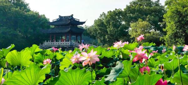 杭州突降暴雨！明后天还需防范强对流天气 西湖边这道美景错过等一年
