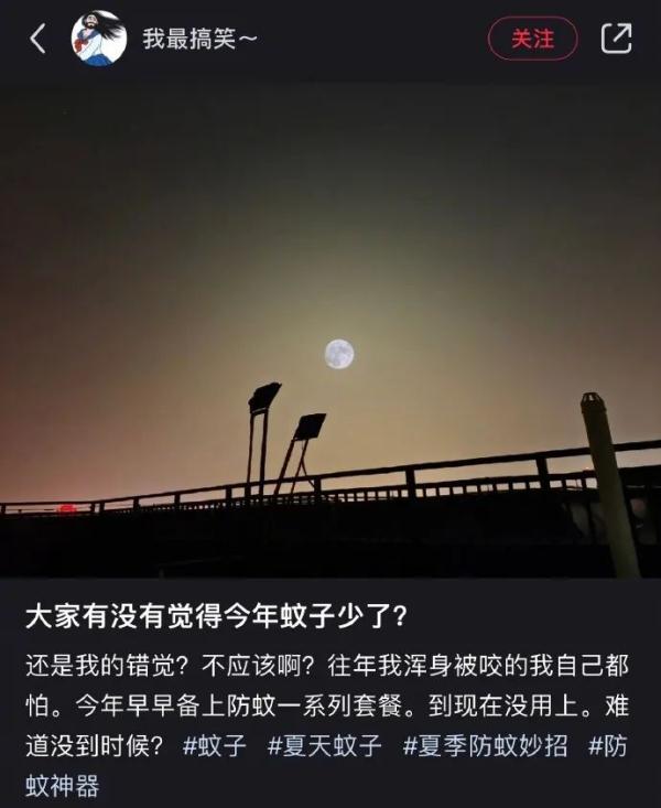 今年的蚊子好像少了?据说和40℃高温有关 今年的蚊子好像少了?据说和40℃高温有关