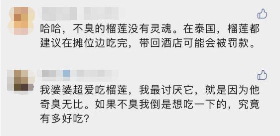 不臭的榴莲来了！网友却吵翻了