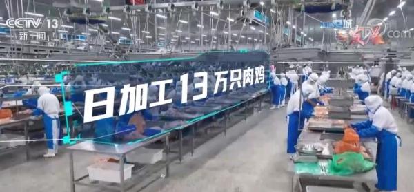 美食产业创新升级 诸城一二三产聚链成群