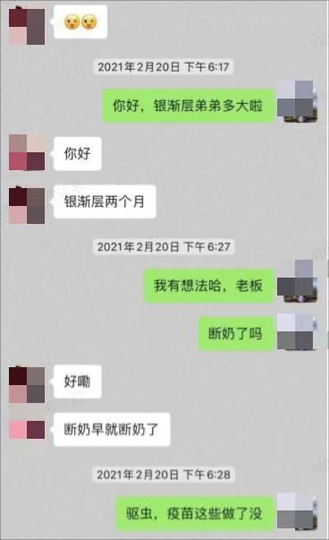 男子带猫做绝育时傻眼了：怎么是母猫？他把宠物店告上法庭