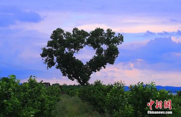 比愚蠢更可怕的，是……