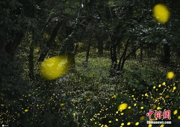 比愚蠢更可怕的，是……