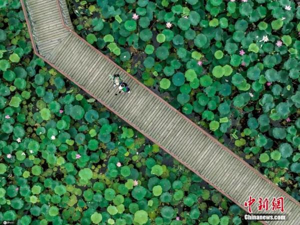 比愚蠢更可怕的，是……