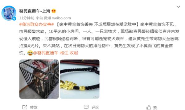 家中黄金首饰丢失 不成想居然在爱宠肚中 家中黄金首饰丢失 不成想居然在爱宠肚中