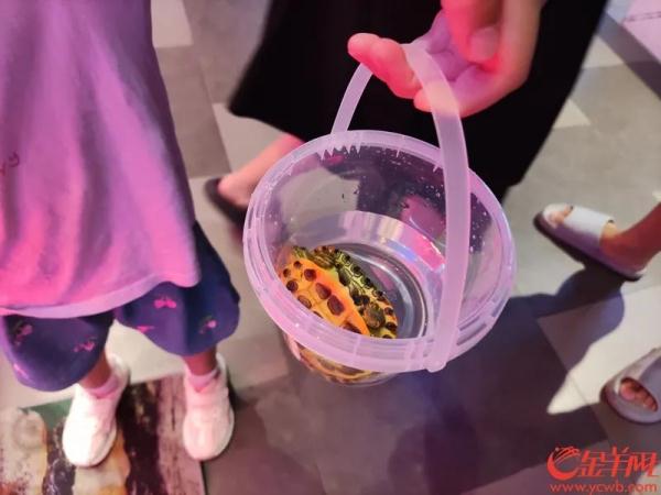 广州一商场娃娃机抓的是活体动物!各方回应 广州一商场娃娃机抓的是活体动物!各方回应