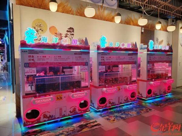 广州一商场娃娃机抓的是活体动物!各方回应 广州一商场娃娃机抓的是活体动物!各方回应