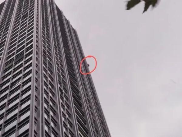 狂风暴雨时，杭州一“蜘蛛人”被困37楼窗外，大脑一片空白