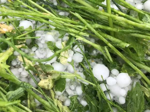 上饶冰雹图片