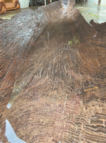 变色独木舟竟是千年龙舟?