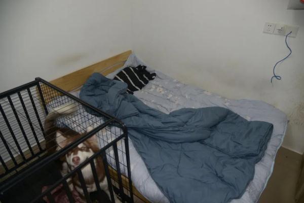 家中黄金首饰丢失,“窃贼”竟是…… 家中黄金首饰丢失,“窃贼”竟是……