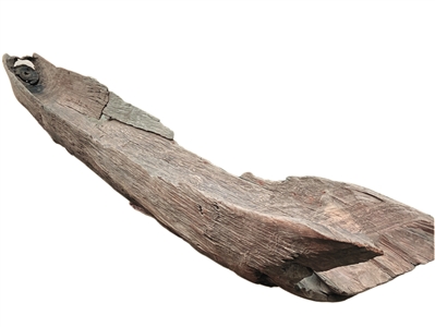 变色独木舟竟是千年龙舟?