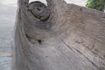 变色独木舟竟是千年龙舟?