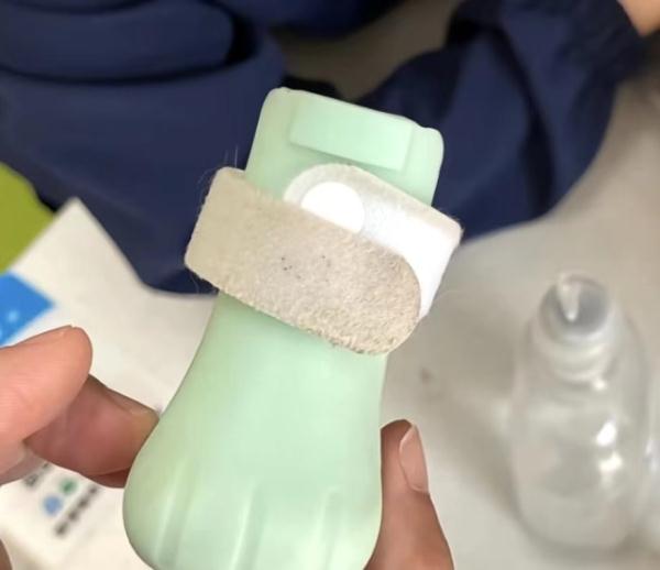 主人怕被挠伤，给猫穿鞋致其四肢腐烂