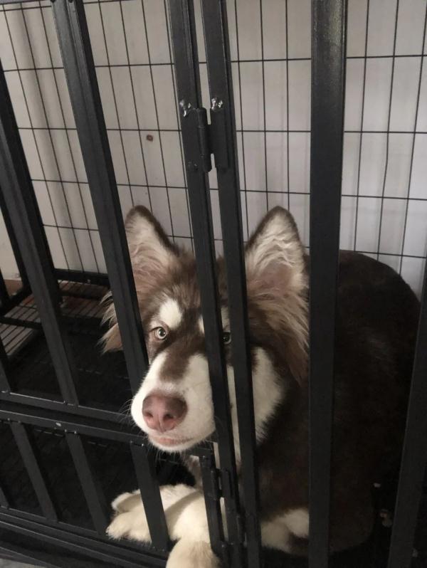 家中黄金首饰丢失,“窃贼”竟是…… 家中黄金首饰丢失,“窃贼”竟是……