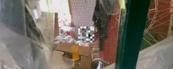 有个爱收集垃圾的邻居是什么体验…上海老爷叔：排泄物还直接往下扔，溅人一身！