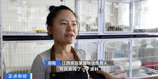 萌翻了！宠物店来了一只受伤的小动物，竟是濒危物种
