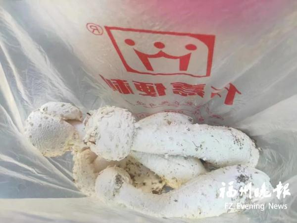 才吃了几片,福建一对闺蜜双双中毒! 才吃了几片,福建一对闺蜜双双中毒!