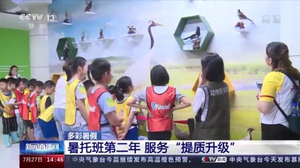 多姿多彩！这样快乐的暑假生活你见过吗？