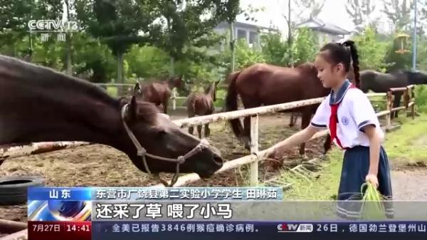 多姿多彩！这样快乐的暑假生活你见过吗？