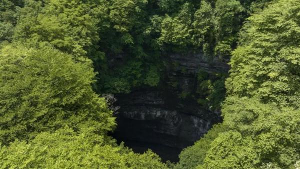 汉中天坑群又有新发现！速看→