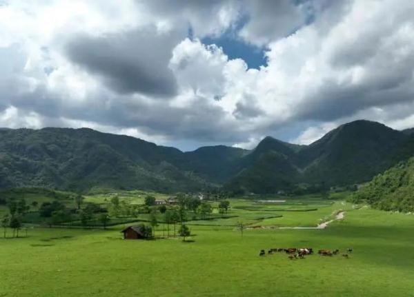 汉中天坑群又有新发现！速看→