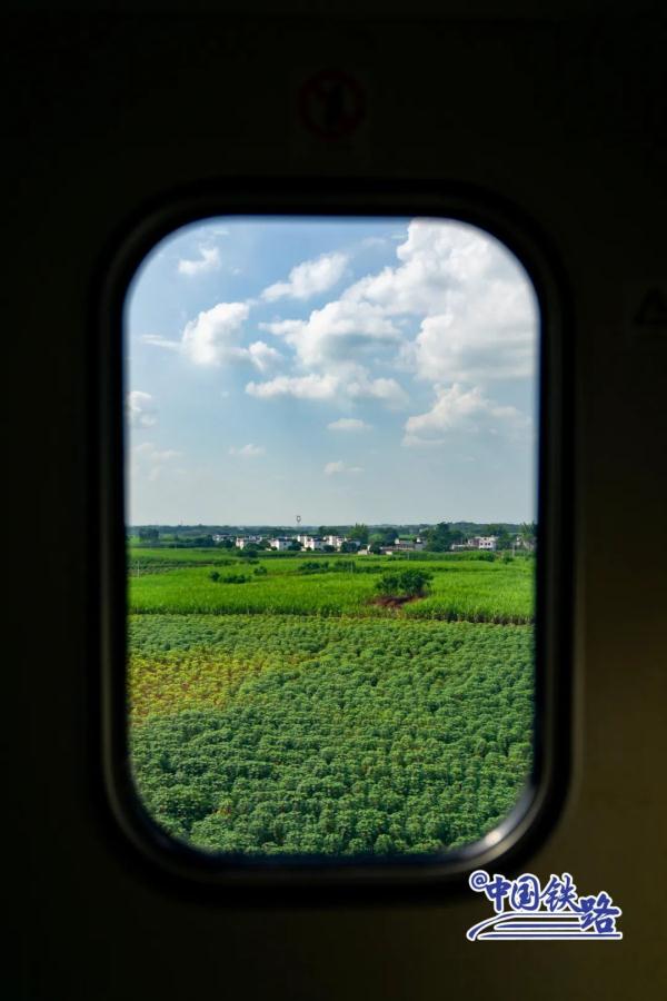 坐火车穿越村落,窗景超治愈! 坐火车穿越村落,窗景超治愈!